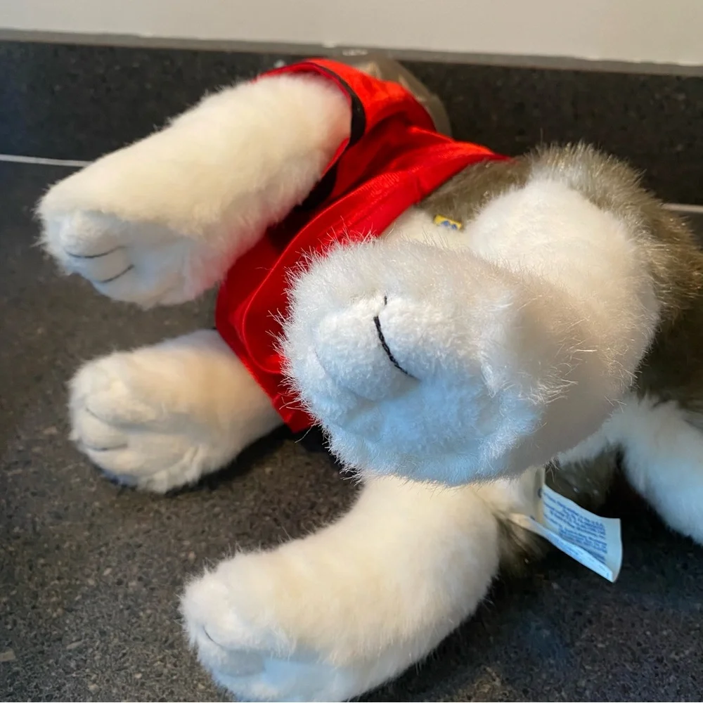 Build A Bear BABW Tampa Bay Buccaneers Football‎ Outfit Husky Dog Plush